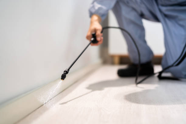 Licensed Pest Control service in Nebo, NC - Show Me Pest Control