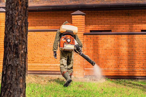 Bed Bug Clearance Verification and Documentation in Nebo